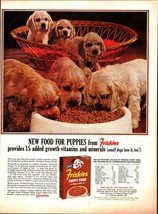 1963 Friskies Puppies Food Ad   Cocker Spaniel Puppy Dogs nostalgic b8 - $21.21