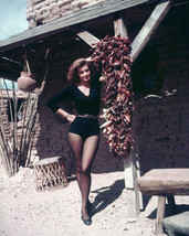 Rio Bravo Angie Dickinson 8x10 Photo showing her lovely legs as Feathers - $10.75