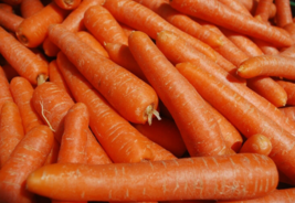 500 Pc Seeds Autumn King Carrot Vegetable Plant, Carrot Seeds for Planting | RK - £14.86 GBP