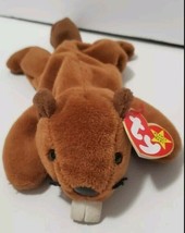 RARE &quot;Bucky&quot; Te beaver TY Beanie baby with Errors PVC Pellets  Style #4016 - £9.60 GBP