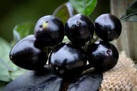 10 Seeds Pepper Black Pearl Heirloom Seeds Hot Heirloom - £14.92 GBP