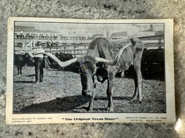 The Original Texas Steer Antique Postcard 1907 Fort Worth Wyly &amp; Sellers... - $181.47 MXN