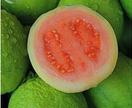 Apple Guava (Psidium Guajava) Seeds, 20 Seeds, tasty organic fruits - £7.68 GBP