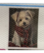 5D Diamond Painting Kits 30 cm x 40 cm Roses/Puppy Lot of 2 NEW - $269.91 MXN