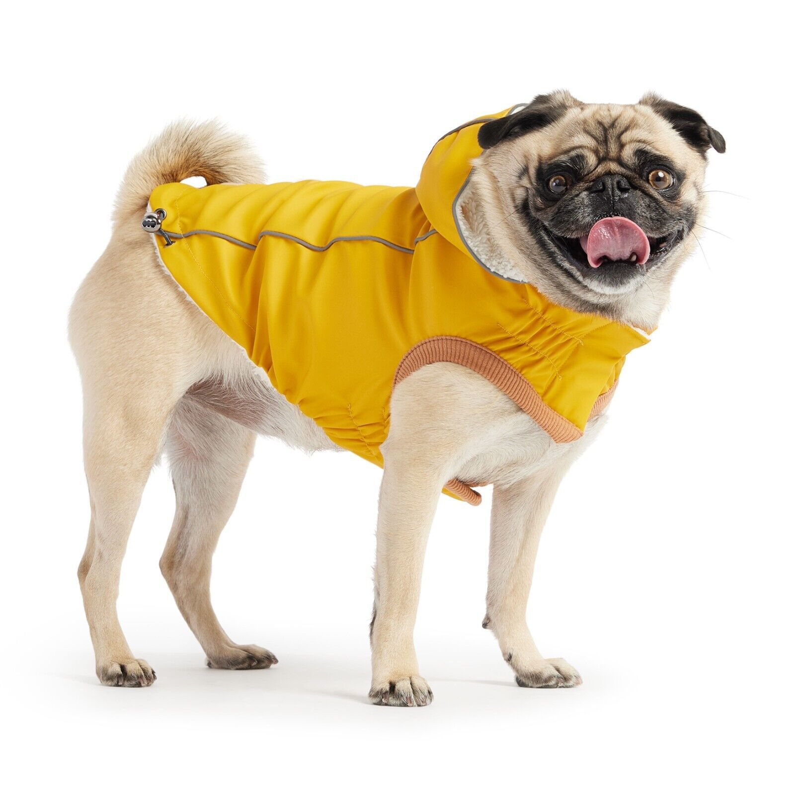 GF PET Insulated Dog Raincoat