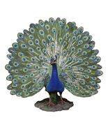 Large Gallery Quality Male Peacock With Exotic Iridescent Train Plumage ... - €307,31 EUR