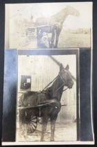 1904-1918 AZO RPPC Black Work Horse Profile w/ Carriage Real Photo Postcard - $23.21