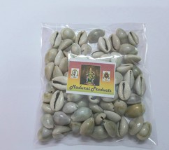 Madurai Products Mahalakshmi Kauri Cowry (Yellow)- 75 Pieces FREE SHIPPING - £23.25 GBP