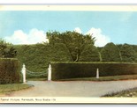 Typical Hedges of Yarmouth Nova Scotia NS Canada UNP WB Postcard S5 - $3.91