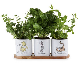 Disney Store 2021 Winnie the Pooh and Pals Ceramic Herb Planter Set 3 w/Tray New - £30.04 GBP