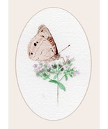 “Buckeye-to-Eye,” A. Rose Designs note card - $5.95+
