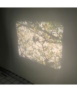 Vintage 8mm Home Movie 1950s 5&quot; Reel Hunters Geese Duck Birds Corbett br... - $30.50 CAD