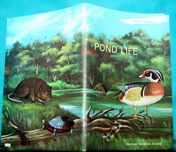 c1965-71 Nat&#39;l Audubon Soc 6-9 GR home school Science Program booklet PO... - $9.73