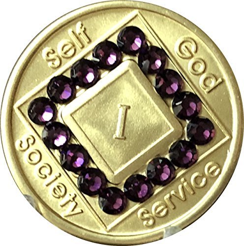 1 Year NA Medallion Bronze Purple Swarovski Crystal Chip