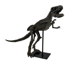 Zeckos 18 in. Long Tyrannosaurus Rex Dinosaur Fossil Statue On Museum Mount - £79.28 GBP