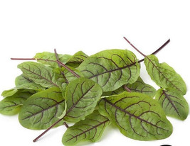 KKG Sorrel Seeds Red Veined 500 Mg Fresh Garden - $7.89