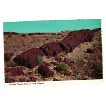 Vintage Postcard Petrified Forest National Park Fallen Giant Arizona D-16343 Log - £7.59 GBP