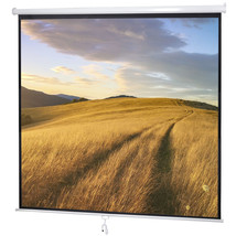 84&quot; X 84&quot; Manual Pull Down Projector Screen 1:1 Format Hd Home Movie The... - $100.99
