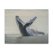 Majestic Blue Whale goat Art Majestic Blue Whale Print Animal Wall Art Wildlife - £56.28 GBP+