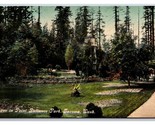 Scene In Point Defiance Park Tacoma Washington WA UNP DB Postcard M20 - £3.90 GBP
