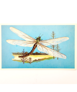 1975 MEGANEURON Dinosaur Card Vintage Prehistoric Illustration Ephemera ... - $363.77 MXN