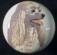 CABINET Knobs W/ Poodle white Knob DOG - $6.22 CAD