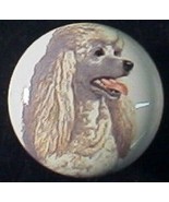 CABINET Knobs W/ Poodle white Knob DOG - $84.89 MXN