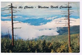 North Carolina Postcard Above The Clouds Clingmans Dome Great Smoky Mountains - £2.35 GBP