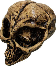 Alien Bone Elongated Skull UFO Creature Halloween Prop Figurine 4.8&quot; H R... - £23.00 GBP