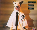Working Class Dog [Audio CD] - $12.99
