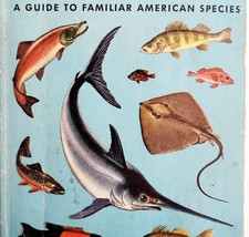 1955 Fish Guide to American Species Golden Pocket Book 1st Edition Western Pub - £23.58 GBP