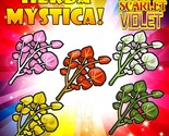 Herba Mystica Pokemon Scarlet Violet Herba Mystica Sweet Salty Sour Bitt... - $3.95+