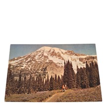 Postcard Mt. Rainier And Paradise Valley Summer Months Washington Chrome - £5.44 GBP