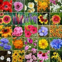From Usa Wildflower Mix Midwest Regional 25 Heirloom Flower Species Non-GMO Usa - £3.12 GBP