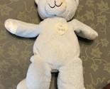 Kids Preferred Blue Teddy Bear Plush Stuffed Animal Asthma Allergy Satin... - $19.79
