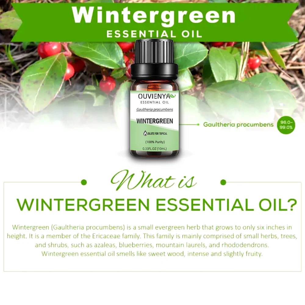 OUVIENYA Natural 100% organic Wintergreen essential B distillation from Gaulther - £43.41 GBP