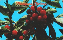 Vintage Michigan Postcard Tart Cherries Posted Liberty 3 Cent Stamp Frui... - £2.35 GBP