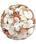 Coco Midrib Sea Shell Basket 10 Inches Natural - £30.32 GBP
