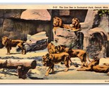Lion Den at Zoological Park Detroit Michigan MI UNP Linen Postcard N18 - £2.68 GBP