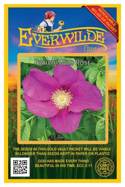 60 Prairie Wild Rose Wildflower Seeds Farms Seed Packet Fresh New - £6.77 GBP