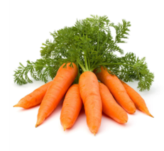 100 Pc Seeds Little Fingers Carrot Vegetable Plant, Carrot Seeds for Planting RK - £15.10 GBP