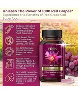 Vinia Red Grape Powder Rapid Absorbtion Piceid Resveratrol 30 Veggie Cap... - $67.68 CAD