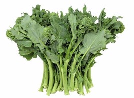 1000 Organic Broccoli Raab Rapini Seeds Microgreens Sprouting Gardening USA SELL - $10.98