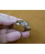 (Y-LAD-52) red Ladybug ladybird beetle love bugs figurine carving SOAPST... - €7,45 EUR