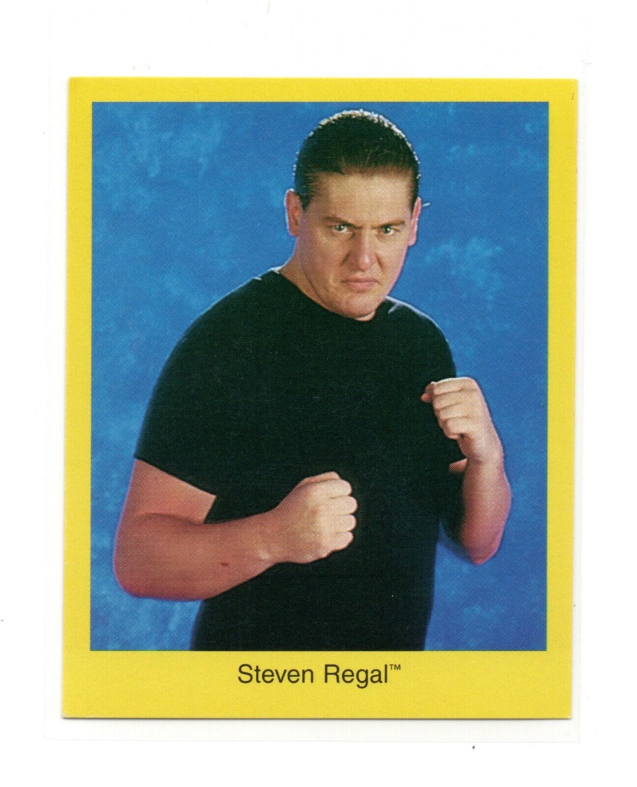 Primary image for 1998 Cardinal WWF Steven William Regal Trivia Card NNO Rookie RC WWE AEW NM-MT