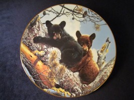 Black Bear Cubs High Adventure Collector Plate Carl Brenders Woodland Friends - £26.67 GBP