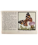 The Thistle Butterfly 1934 Butterflies Of America Antique Insect Art PCB... - £15.89 GBP