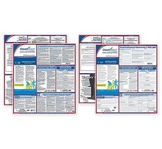 Labor Law Bilingual Federal/State Combo Posters, Spanish and English - £88.24 GBP