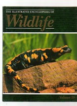 THE ILLUSTRATED ENCYCLOPEDIA OF WILDLIFE VOLUME 29 REPTILES &amp; AMPHIBIANS - £3.11 GBP