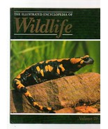 THE ILLUSTRATED ENCYCLOPEDIA OF WILDLIFE VOLUME 29 REPTILES &amp; AMPHIBIANS - £3.07 GBP